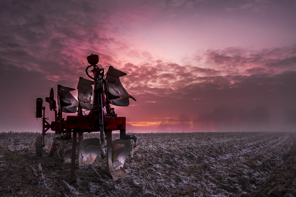 4. Platz Karoline Thalhofer